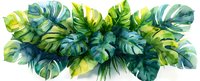 Watercolor tropical monstera leaves in vibrant green and blue tones forming lush botanical arrangement on white background.