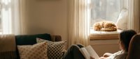 Cozy living room interior with orange cat sleeping on windowsill, soft natural lighting, comfortable sofa with decorative pillows creating warm homey atmosphere.