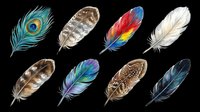 Feathers isolated on transparent background, ready for clipart, t-shirt design, stickers, print-on-demand products, and sublimation projects. Eight colorful and natural feather designs perfect for crafts.