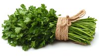 Fresh green parsley bunch tied with natural twine rope isolated on white background, ready for cooking, food photography for culinary projects and recipe blogs.