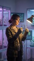 Female scientist examining plant sample under desk lamp in modern laboratory with purple LED lighting and botanical research displays.