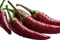 Fresh red chili peppers with water drops on white background, macro shot showing texture and glossy surface, arranged in row for food photography.
