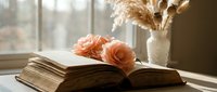 Vintage open book with delicate peach roses and dried pampas grass in soft natural window light creating romantic still life composition for home decor.