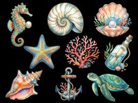 Nautical sea creatures collection with seahorse, nautilus shell, pearl shell, starfish, coral, message bottle, conch shell, anchor, and sea turtle isolated on transparent background. Ready for t-shirt design, clipart, stickers, sublimation, and print-on-demand products.