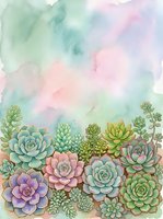 Watercolor succulent garden with pastel background for botanical designs and nature-themed projects.
