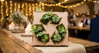 Succulent plants arranged in wooden box planter with warm bokeh lights creating cozy indoor garden atmosphere for home decor and botanical design projects.