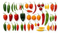 Colorful assortment of fresh hot chili peppers in various shapes and sizes arranged on white background. Perfect for culinary designs and cooking projects.
