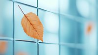 Orange autumn leaf caught on metal wire mesh fence against soft turquoise bokeh background creates minimalist nature composition with seasonal mood.