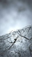 Cracked concrete surface with dramatic cloudy sky background showing weathered urban texture and natural deterioration patterns for construction themes.