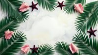 Tropical summer frame with palm leaves, seashells and starfish on white sand background. Vacation paradise border with copy space for text or design.