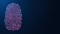 Digital fingerprint scan with purple neon lines on dark blue background for cybersecurity and biometric authentication technology applications.