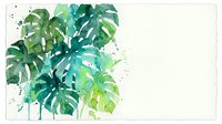Watercolor monstera leaves in green and teal tones with paint splatters on white background, tropical botanical art for interior design and decoration.