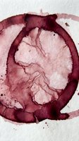 Watercolor abstract circular composition with deep burgundy and soft pink tones, featuring organic branching patterns and fluid ink dispersal on textured paper for artistic backgrounds.