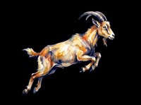 Jumping goat with curved horns isolated on transparent background, ready for t-shirt design, clipart, stickers, sublimation and print-on-demand projects.