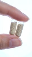 Hand holding two transparent capsules filled with brown herbal powder supplement on white background for healthcare and wellness concepts.