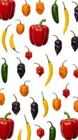 Colorful mix of fresh peppers including bell, jalapeno, habanero, and chili varieties scattered on white background, isolated for food design use.