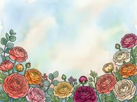 Watercolor ranunculus flowers frame border with soft pastel background for wedding invitations, greeting cards and romantic design projects.
