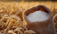 Small burlap sack filled with white flour against golden wheat field background in warm sunlight, showcasing agricultural harvest and baking ingredients.