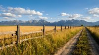 Rural dirt road with wooden fence leading through golden wheat field toward snow-capped mountain range under blue sky with white clouds in countryside landscape.