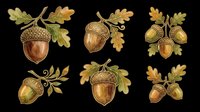 Autumn acorns with oak leaves set, isolated on transparent background. Watercolor style clipart for t-shirt design, stickers, print on demand, and sublimation projects.