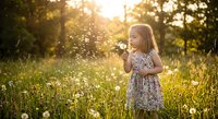 Young blonde girl in floral dress blowing dandelion seeds in sunny meadow during golden hour sunset creating magical childhood moment in nature.