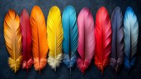 Vibrant colorful feathers arranged in row on dark background, featuring orange, yellow, turquoise, pink, red and blue plumes. Perfect for nature and diversity themes.