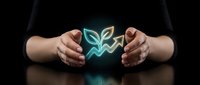 Hands protecting glowing plant sprout symbol representing environmental conservation, sustainability and green business growth concept.