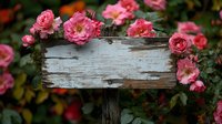 Rustic wooden sign surrounded by blooming pink roses in garden setting. Vintage weathered wood plank with floral border for romantic wedding decor and signage.