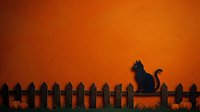 Silhouette of a cat sitting on a wooden fence against a warm orange sunset sky, suitable for Halloween, autumn, and pet-themed designs.