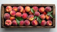 Fresh ripe peaches with green leaves arranged in rustic wooden box, top view. Organic summer fruits harvested for farmers market or healthy eating.