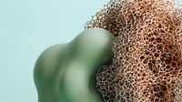 Smooth green organic form merging with textured brown porous material against soft blue background, representing natural contrast and transformation for design, wellness, and creative projects.