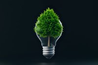 Green tree growing inside light bulb on dark background symbolizing renewable energy, environmental conservation and sustainable development solutions.