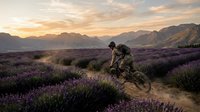 Mountain biker riding through purple lavender fields at golden hour sunset with dramatic mountain landscape backdrop creating adventurous outdoor recreation scene.