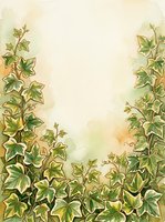 Watercolor ivy vines frame cream background with green and golden leaves, creating botanical border design suitable for invitations, stationery, and decorative layouts.