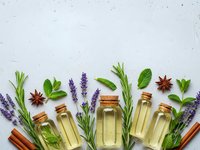 Essential oils in glass bottles with fresh herbs lavender rosemary mint and spices on white background for aromatherapy wellness and natural medicine.