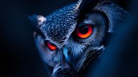 Dramatic close-up of owl face with glowing red eyes against dark background, featuring intense gaze and detailed feather texture in moody blue tones.