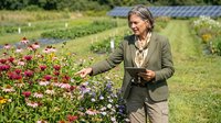 Senior African American woman agricultural scientist examining flowers in research garden with tablet for data collection and crop analysis.