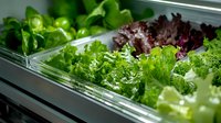 Fresh mixed lettuce varieties and leafy greens in refrigerated display case at grocery store produce section, close up view showing crisp texture and vibrant colors.