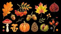 Autumn nature clipart set with leaves, acorns, mushrooms, pumpkin, pine cone, berries and chestnut, isolated on transparent background, ready for seasonal design use.