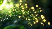 Fresh green grass blades with morning dew drops glistening in sunlight against blurred bokeh background creating magical natural atmosphere.