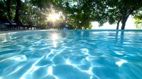 Tranquil swimming pool with crystal clear turquoise water reflecting sunlight through tree canopy, creating mesmerizing light patterns on rippling surface at sunset.