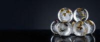 Frozen dandelion seed heads encased in ice spheres arranged on dark reflective surface, showcasing delicate botanical structures preserved in crystalline form for nature and science concepts.