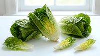 Fresh romaine lettuce heads and leaves arranged on white surface near bright window for healthy cooking and salad preparation.