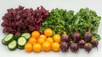 Fresh organic produce arrangement with purple lettuce, green leaf lettuce, sliced cucumbers, yellow cherry tomatoes and red beets on white background for healthy eating concept.