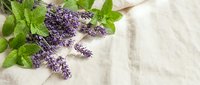 Fresh lavender sprigs with green leaves arranged on natural linen fabric background for aromatherapy, spa treatments, and herbal wellness applications.
