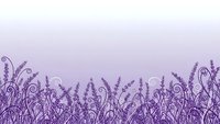 Purple ornate floral border with decorative swirls and botanical elements on gradient background for elegant design projects and feminine branding.