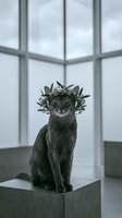 Gray tabby cat wearing a leafy crown, sitting on concrete pedestal against bright window with grid pattern. Suitable for pet portraits, humorous animal content, and creative editorial use.
