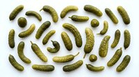 Pickled cucumbers gherkins arranged in spiral pattern on white background isolated for culinary design food photography kitchen decoration restaurant menu.