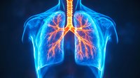 Glowing anatomical visualization of human respiratory system showing detailed bronchi and lungs in blue and orange colors against dark background for medical education.