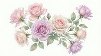Watercolor roses in soft pink and purple tones with green leaves on transparent background, isolated floral elements for wedding invitations and romantic designs.